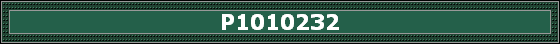 P1010232