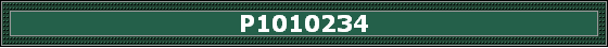 P1010234
