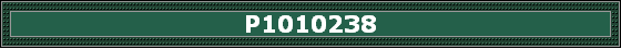 P1010238
