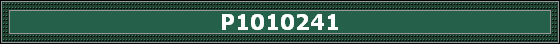 P1010241