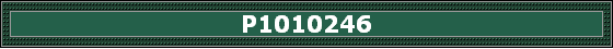 P1010246