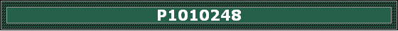P1010248