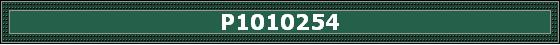 P1010254
