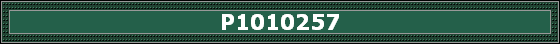 P1010257