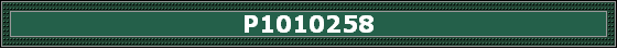 P1010258