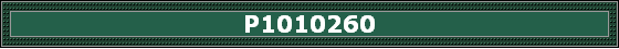 P1010260