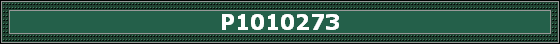 P1010273