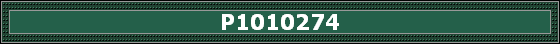 P1010274