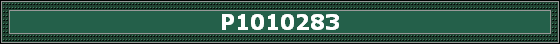 P1010283