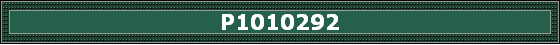 P1010292