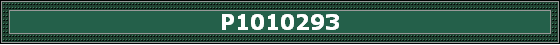 P1010293