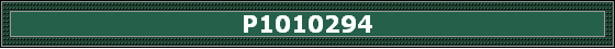 P1010294
