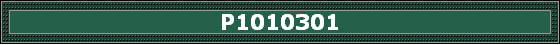 P1010301