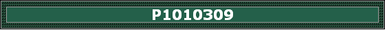 P1010309