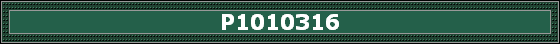 P1010316