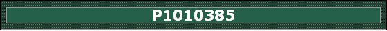 P1010385