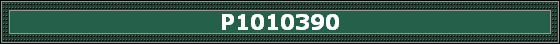 P1010390