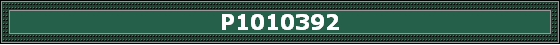 P1010392