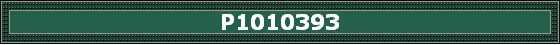 P1010393