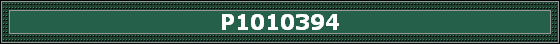 P1010394
