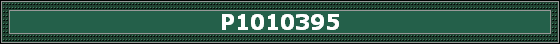 P1010395