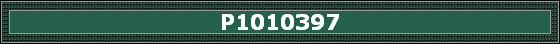 P1010397