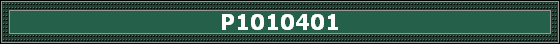 P1010401