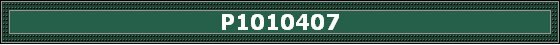 P1010407