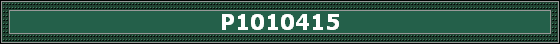 P1010415