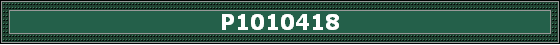 P1010418