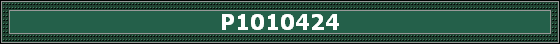 P1010424