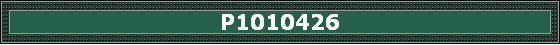 P1010426