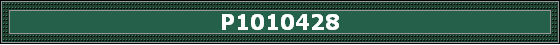 P1010428