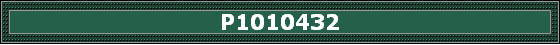 P1010432