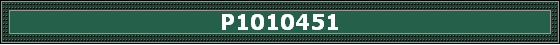 P1010451