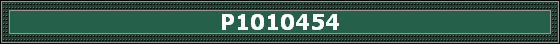 P1010454