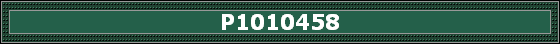 P1010458