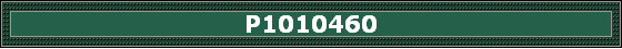 P1010460