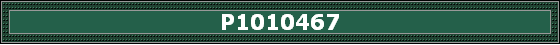 P1010467