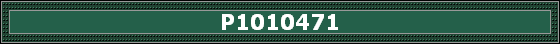 P1010471