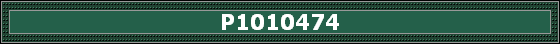 P1010474