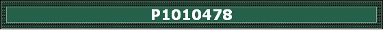 P1010478