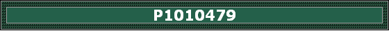 P1010479