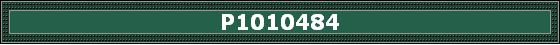 P1010484