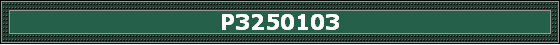 P3250103