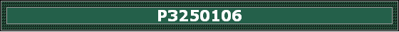 P3250106