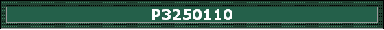 P3250110
