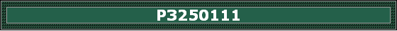 P3250111
