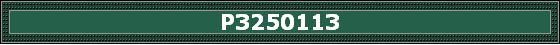 P3250113