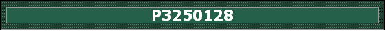 P3250128